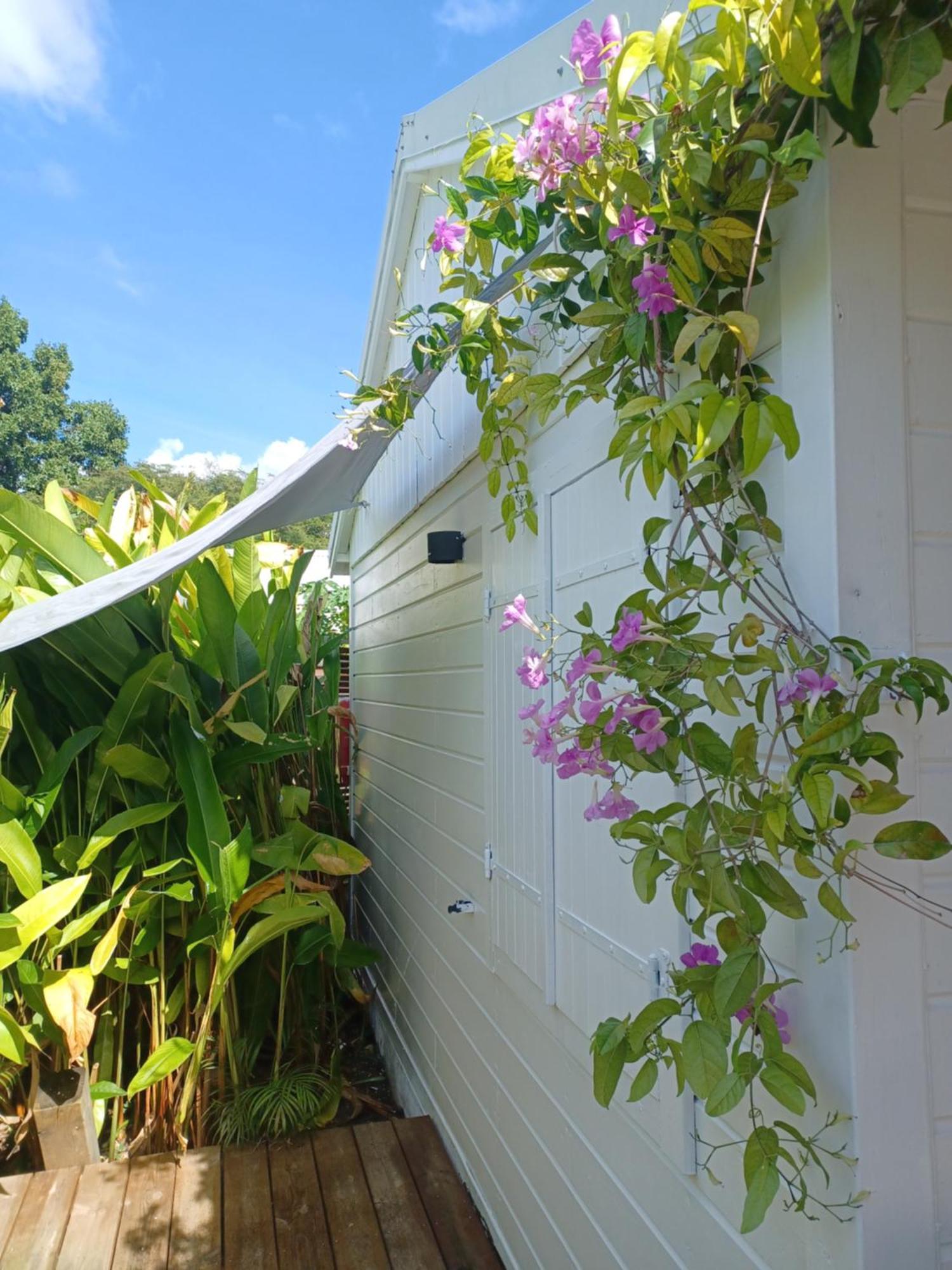 Charmant Bungalow Coco Sainte-Anne  Bagian luar foto