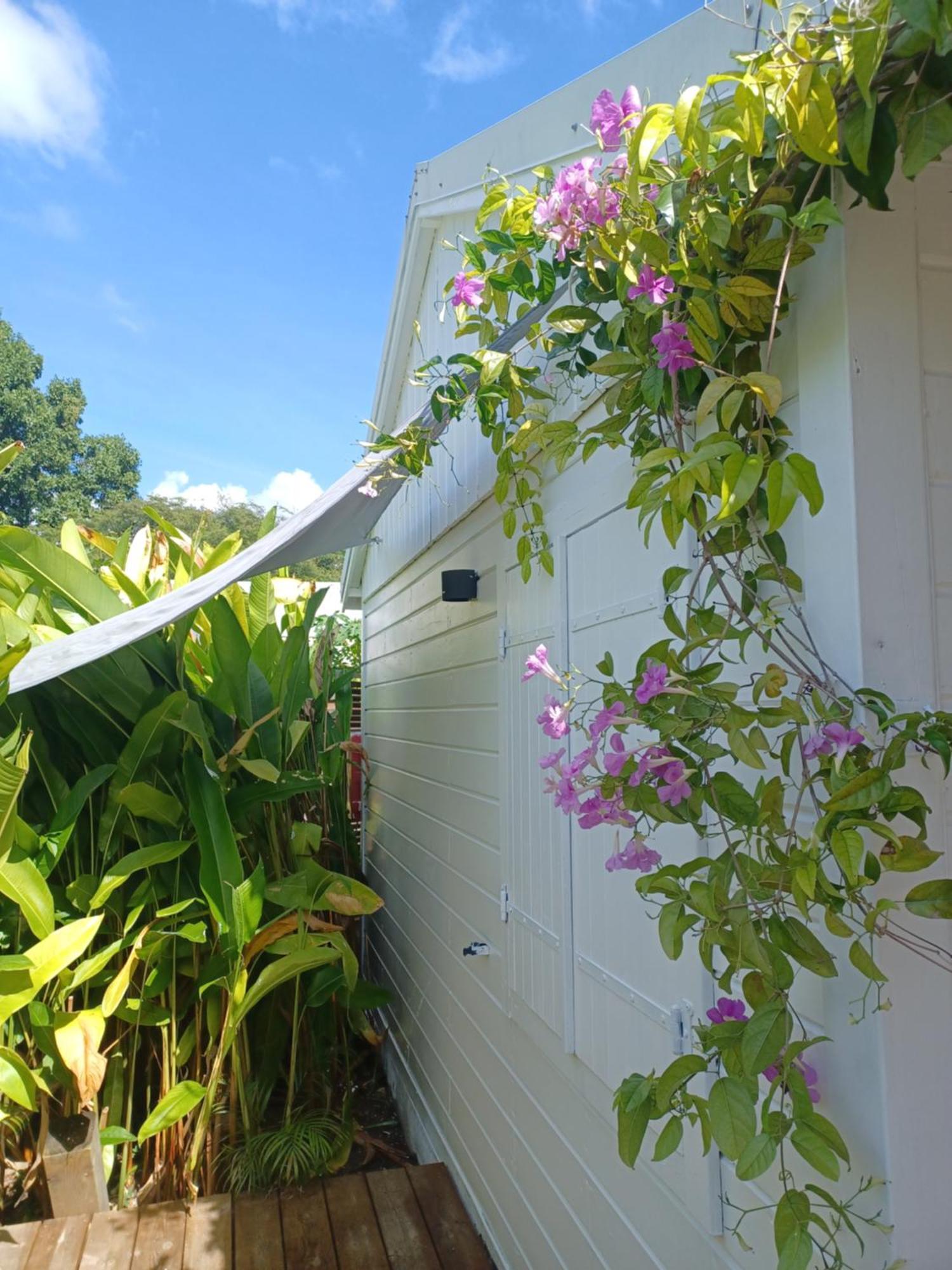 Charmant Bungalow Coco Sainte-Anne  Bagian luar foto